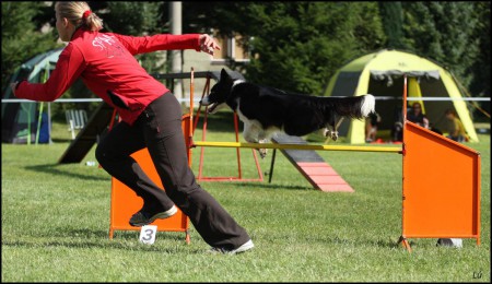 Agility tréningy